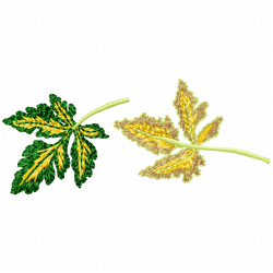 Leaves Embroidery Design 9